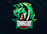 create dragon mascot logo design with unlimited review