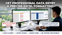 do professional data entry formating and clean up excel sheet