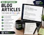 write SEO optimized blog articles that rank on google