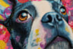 draw a fabulous animal pop art style