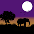 create custom digital nature art and silhouette illustration