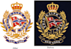do professional embroidery digitizing in dst and pes using wilcom