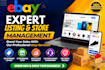be your virtual assistant for complete ebay store management