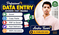 do accurate data entry, excel, copy paste, and web research