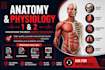 do anatomy and physiology 1 and 2