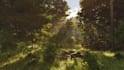 create unreal engine 3d environment, landscape, terrain, and game level