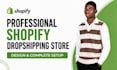 design a professional shopify dropshipping store