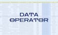 be your data operator, virtual assistant and worker
