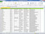 do professional excel data entry and copy paste work