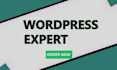 architect premium wordpress website that elevates your business