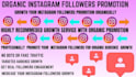 do legit instagram page promotion for organic followers growth using google ads