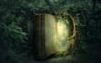 design fantasy book cover, paperback cover,