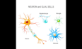 create scientific illustrations, diagrams, and graphical abstracts