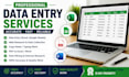 do accurate data entry, web research, copy paste and file conversion