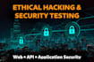 perform professional web application and API security audit