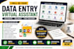 do data entry in ms word, excel, powerpoint etc