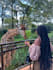 plan your kenya trip itinerary with travel concierge services