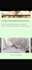 web designer for you