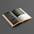 design a modern company profile, brochure proposal