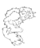 draw a funny custom cartoon pet portrait