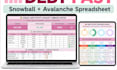 create a cash flow tracker, debt payoff planner, balance sheet, income statement