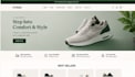 build a professional shopify dropshipping store