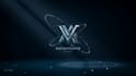 create custom logo animation and intro video, 2d 3d animation video