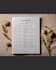 professionally reconstruct your life story into a narrative portfolio