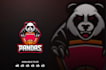 professional panda logo design with unlimited revisions