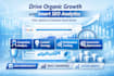 do advanced SEO optimization and google ranking