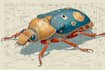 paint scientific animal illustrations
