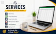 do accurate data entry, excel, copy paste and web research