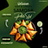 design stunning canva graphics
