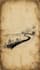 design islamic quran, hadith and quote posts