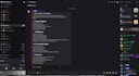 set up and design a professional discord server