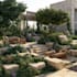 design and render your landscape design