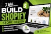 build shopify store design, shopify dropshipping store shopify website