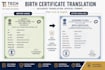 translate government documents professionally
