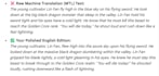 copy edit and polish your translated romance webnovel