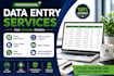 do accurate data entry, excel data entry