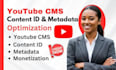 provide youtube cms, content id, mcn monetization and channel management