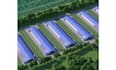 design 3d cgi poultry farm, chicken farm design, farm layout and 3d rendering