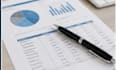 profesional data analysis , excel dashboard and visualisation