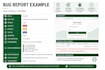 write professional test cases and bug reports for your software
