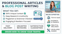 write articles ,blogs,acadmic writing