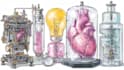 do medical and scientific illustrations