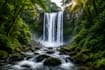 create epic cinematic wildlife and nature video