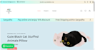 set up your complete shopify store with payment gateway