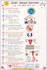 create beautiful handwritten educational notes, posters and infographics