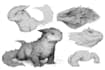 create unique creature monster design and character design